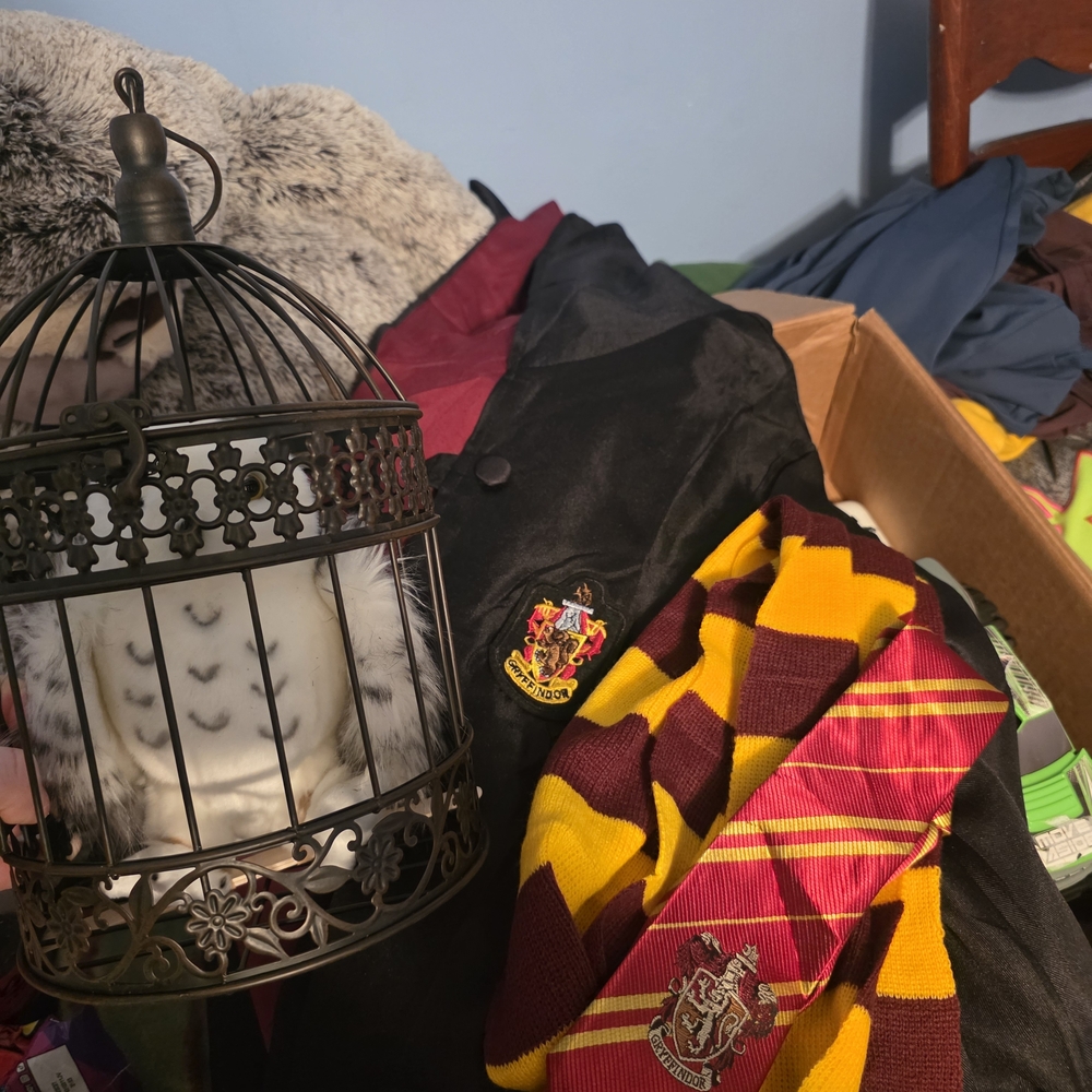 Black Robe with Gryffindor Crest and Striped Scarf
